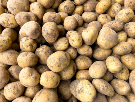 Potatoes stacked on the counter in the marketplaceの写真素材