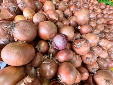 Newly harvested onions stacked on the counter in the marketの写真素材
