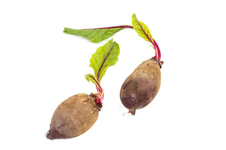 Fresh organic beetroot with freshly harvested leaves on isolated white backgroundの写真素材