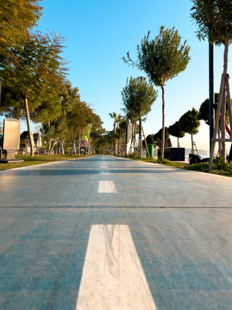 Bicycle path in the park by the sea on a sunny morningの写真素材