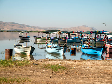 Decorated excursion boats in Isikli lake in Civril, Denizliの写真素材