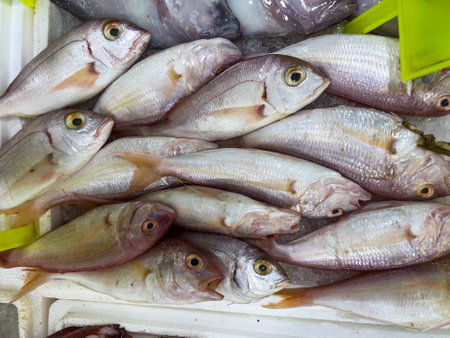 Close-up of fresh raw fish in ice on the counter at a fish market