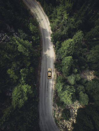 Aerial view taken by drone of a car driving on a forest road in autumnの写真素材