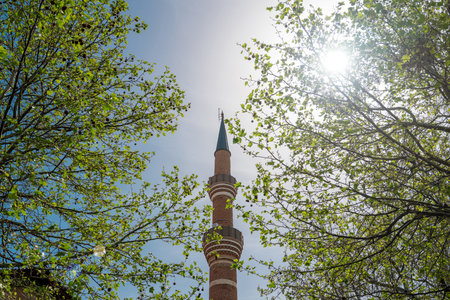 Tall mosque minaret rising through spring trees with sunlight aboveの写真素材