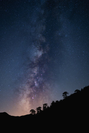 Milky Way galaxy glowing above mountain tree silhouettes