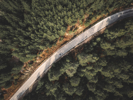 Aerial view taken by drone of a car driving on a forest road in autumnの写真素材