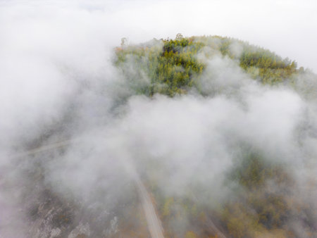 Top-down drone shot of a forested hill peeking through fogの写真素材