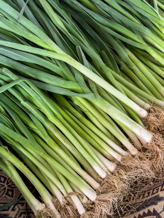 Fresh green leeks displayed for sale at a traditional street market in Turkey
