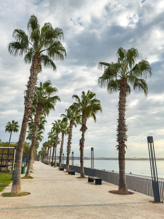 Palm-lined pedestrian walkway along the Konyaalti beach in Antalya, Turkeyの写真素材