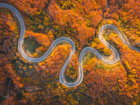 Top-down drone shot of the winding road winding through the autumn forest in Domanic, Kutahyaの写真素材