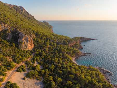 Aerial view of green coastal forest meeting turquoise Mediterranean seaの写真素材