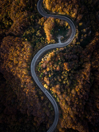 Aerial view of cars driving on the forest road between Domanic and Inegol in autumn, taken with a droneの写真素材