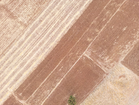 Drone view of geometric farmland fields and rural landscapeの写真素材