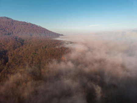 Mountain forest peaks emerging through thick sunrise fog layerの写真素材