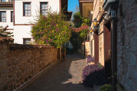 Old Ottoman houses in the narrow streets of Antalya Old Town Kaleici districtの写真素材