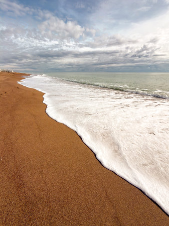 Sea foam flowing along sandy shoreline in minimal compositionの写真素材