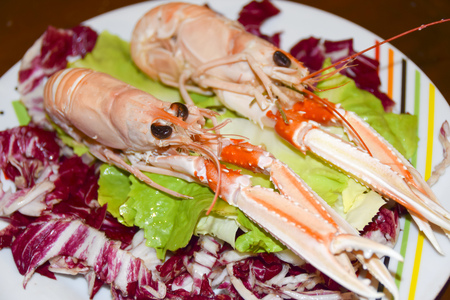  Leaves of green and red salad with langoustine shrimps on a plate on wooden background
の写真素材