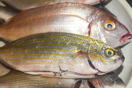 fresh raw bright fish with scales in  frying panの写真素材