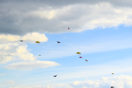 multi colored kites in the blue sky backgroundの写真素材