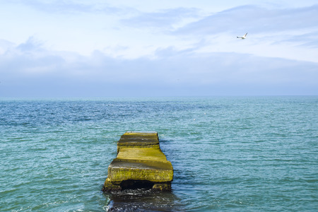 breakwater green moss in the sea blue water clear weather