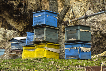 beehive crates  multicolored bees stand farming abstraction