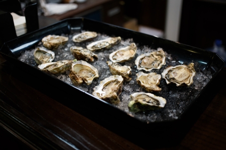 Fresh oysters on the ice table
