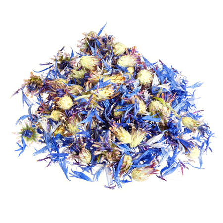 Knapweed dry leaves. Close-up photo. Isolated on white.の写真素材