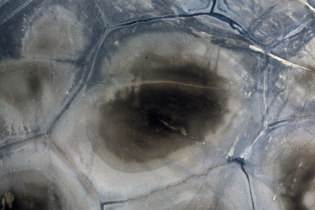 Elegant stone quartzite with a pattern of dark brown. High resolution photo.の写真素材