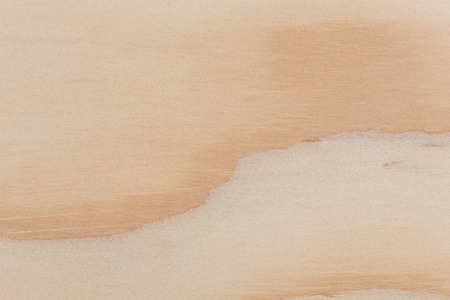 Texture of pine wood plank, high detailed. Hi res photo.