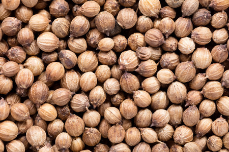 High quality seeds of aromatic coriander, in a texture form for your unique garden. Can be used by...