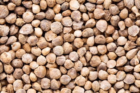 High quality seeds of spinach, in a texture form for your unique garden. Can be used by seed producers for create exquisite packaging with seed on background.の写真素材