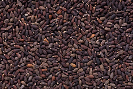 High quality seeds of hyssopus officinalis, flower in a texture form for your adorable garden. Can...
