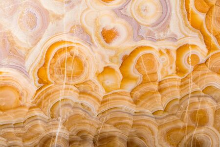 Natural light beige onice background for your personal design work. High quality texture.の写真素材