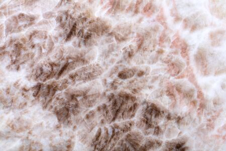 Stylish light onice background as part of your expensive interior. High quality texture.の写真素材