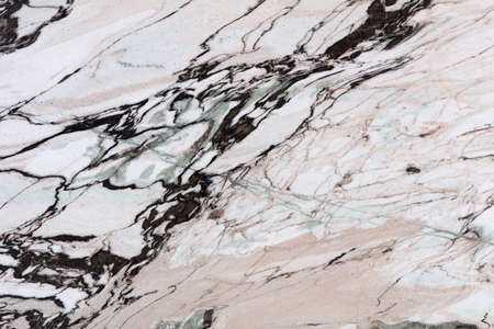 Fantastico Lirio - polished natural marble stone slab, texture for perfect interior, background or other design project.の写真素材