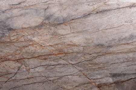 Silver Roots Marble background, texture in stylish colors for your design work. Slab photo.の写真素材