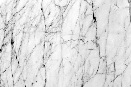 White marble patterned texture background in natural patterned fの写真素材