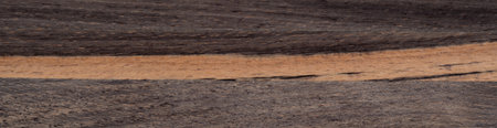 Fossil beech wood texture in close up. Panoramic wood veneer texture.