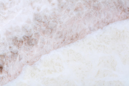 White onice background for your adorable home design. High quality texture in extremely high resolution. 50 megapixels photo.の写真素材