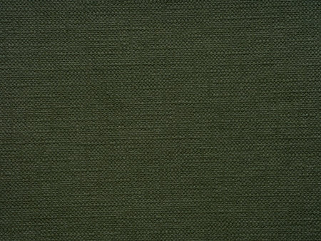 A canvas of forest whispers, the green texture tells stories of hidden groves and earths whispersの写真素材