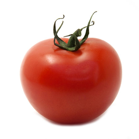 a single tomate on white backgroundの写真素材