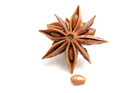 a single star anise with a seed on whiteの写真素材