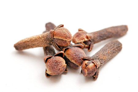 cloves on whiteの写真素材