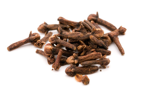 cloves on whiteの写真素材