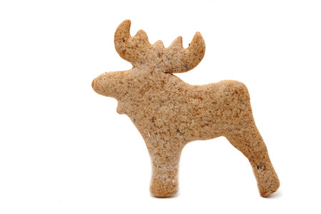 raindeer shaped gingerbread cookie on whiteの写真素材