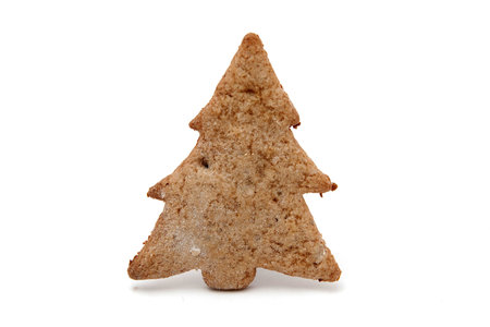 christmas tree shaped gingerbread cookie on whiteの写真素材