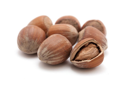 hazelnut on whiteの写真素材