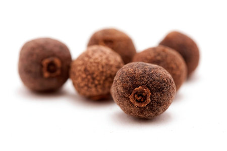 allspice on whiteの写真素材