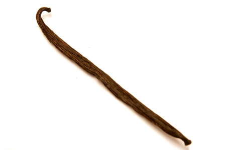 vanilla stick on whiteの写真素材
