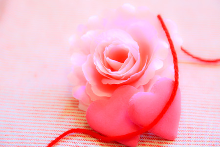 Heartの写真素材